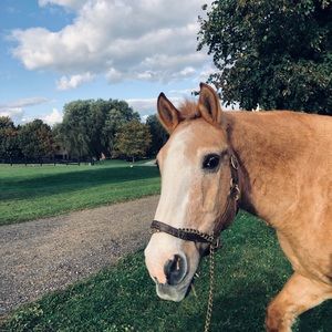 Meet your Posher, Diane